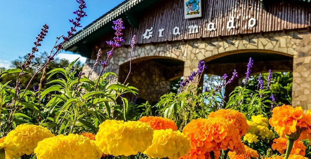 Pousada Beija Flor Gramado Bagian luar foto